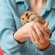 Vet Pet Clinic India