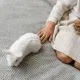 Top Pet Clinic in India