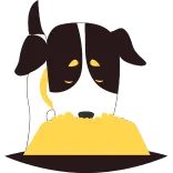 Top Pet Clinics in India