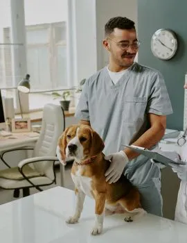 Pet Clinic Near India